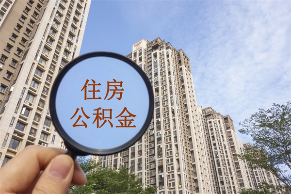 宜城辞职多久公积金可以全部取出来吗（辞职之后公积金多长时间可以取）